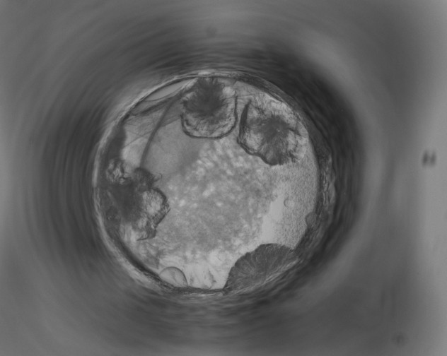 X0000115560049200912181627