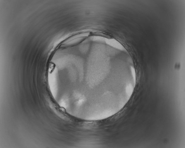 X0000115560050200912181627