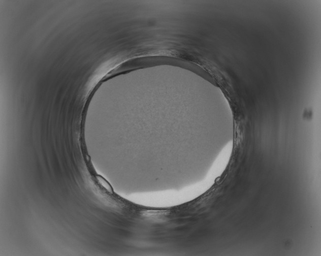 X0000115560051200912181627