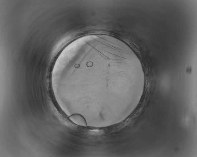 X0000115560053200912181627