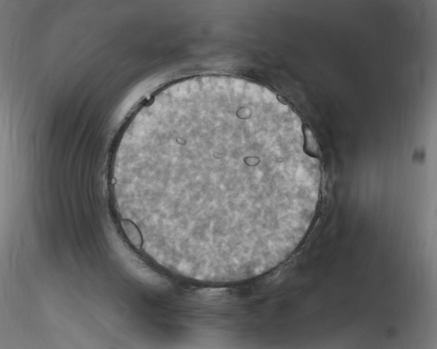 X0000115560054200912181627