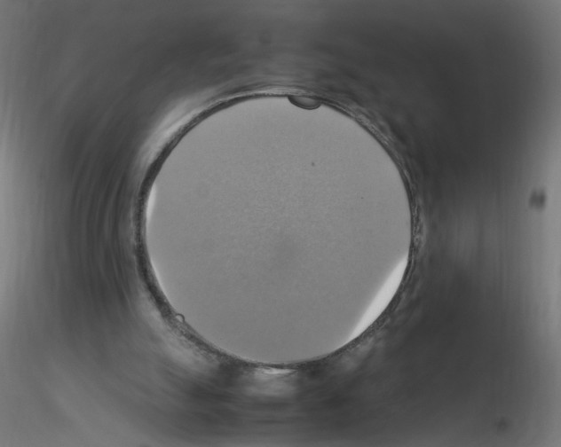 X0000115560055200912181627