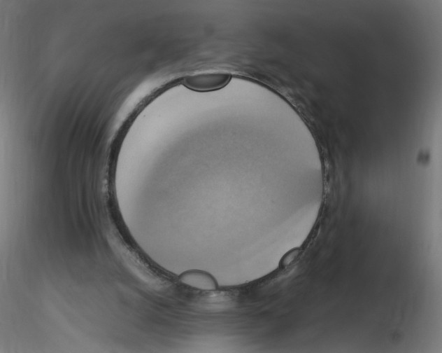 X0000115560056200912181627