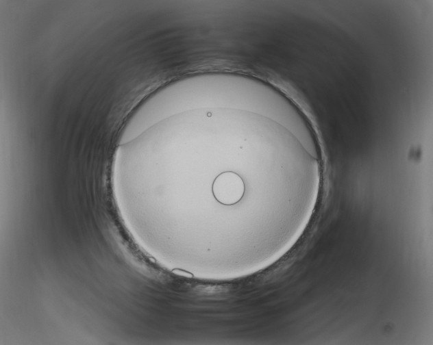 X0000115560057200912181627