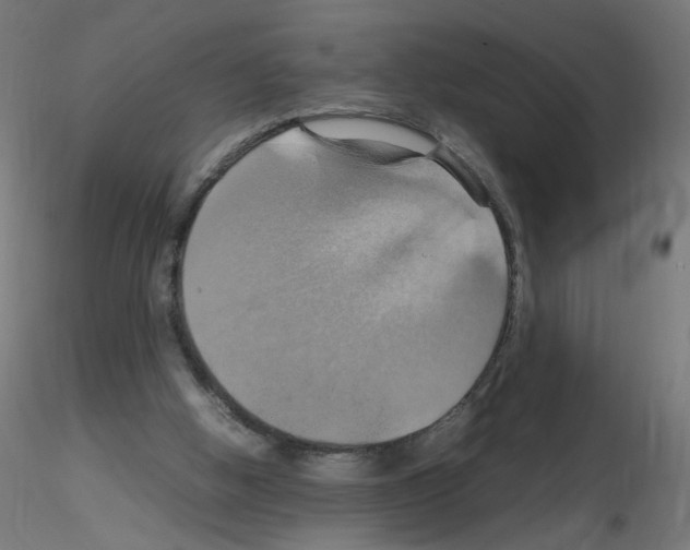 X0000115560058200912181627