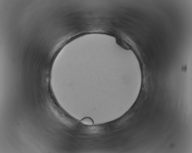 X0000115560059200912181627