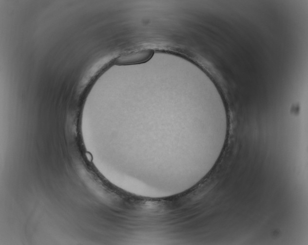 X0000115560060200912181627