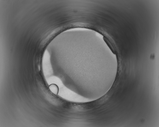 X0000115560062200912181627