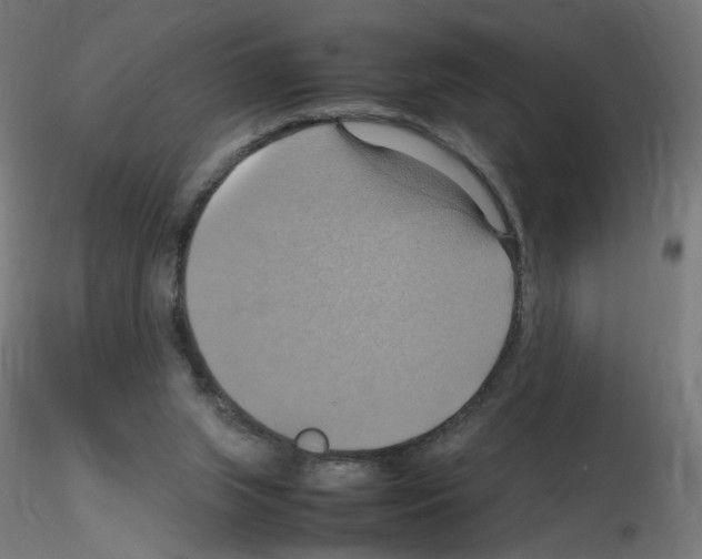 X0000115560063200912181627