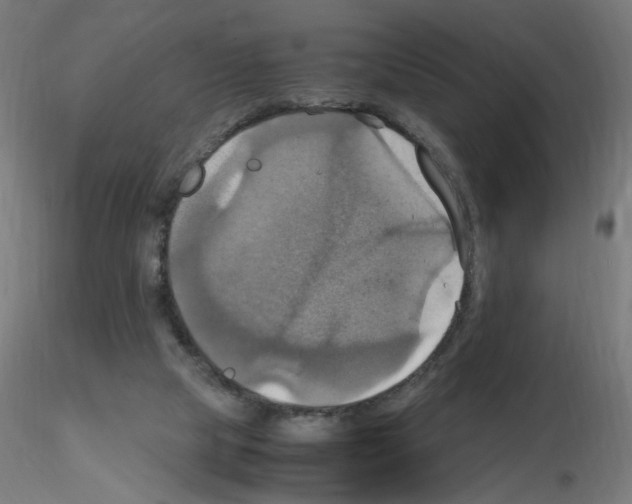 X0000115560065200912181627