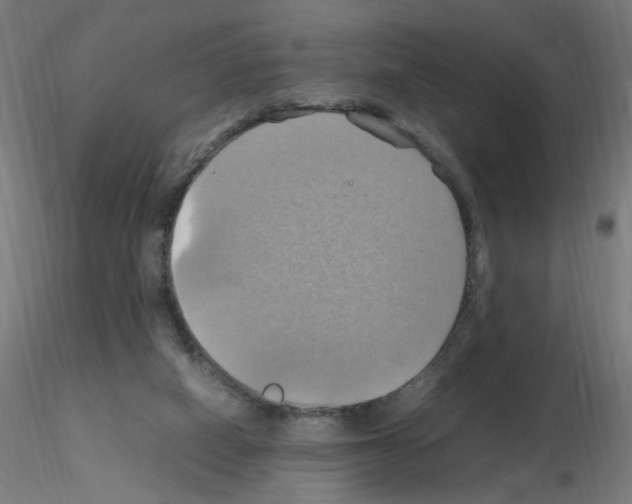 X0000115560066200912181627