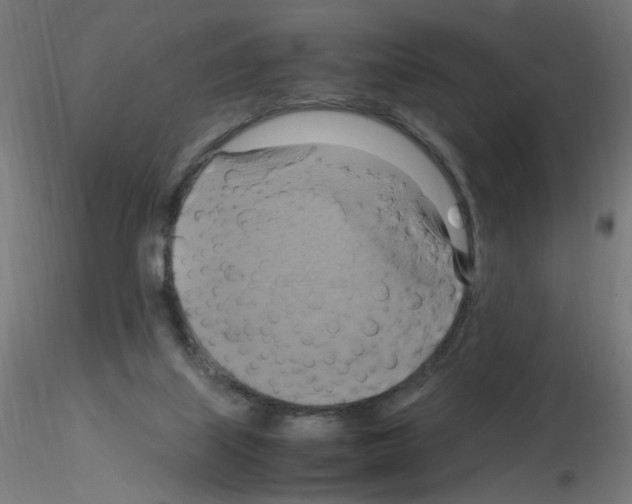 X0000115560067200912181627