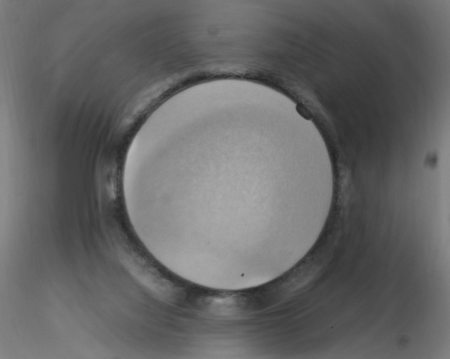 X0000115560068200912181627