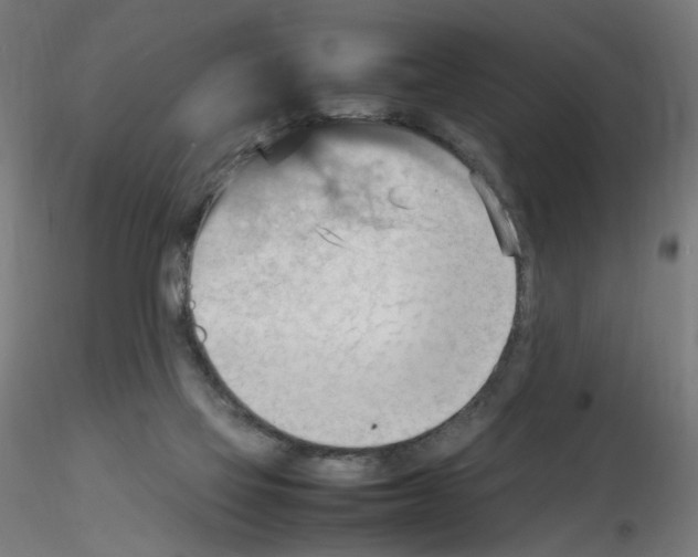 X0000115560069200912181627