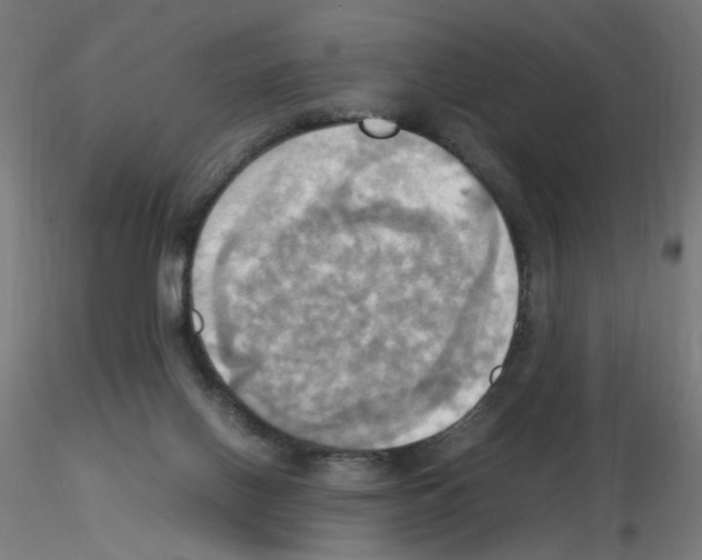 X0000115560070200912181627