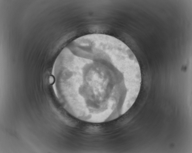 X0000115560071200912181627