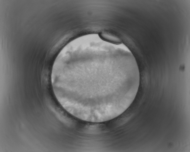 X0000115560072200912181627