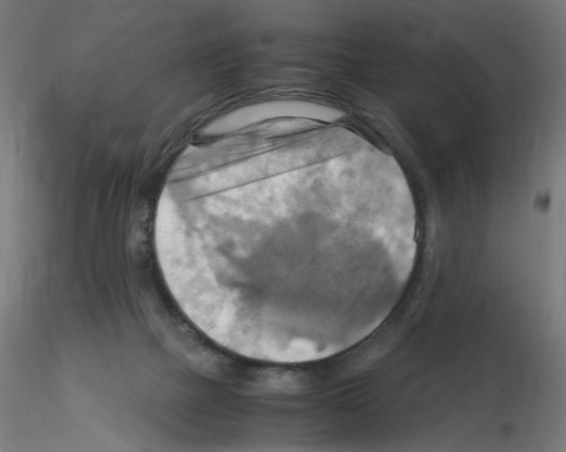 X0000115560073200912181627