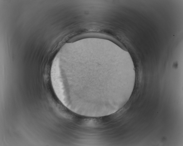 X0000115560074200912181627