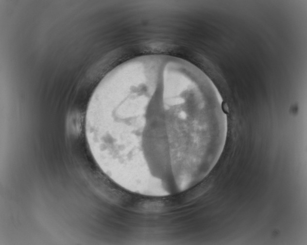 X0000115560075200912181627