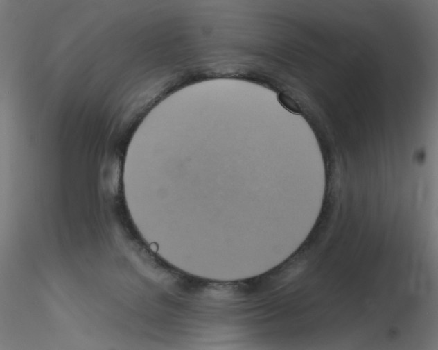 X0000115560076200912181627