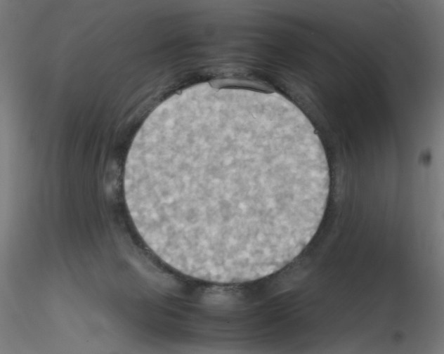 X0000115560077200912181627