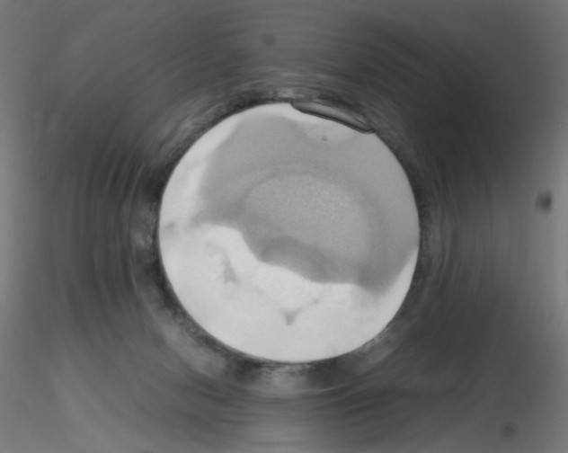 X0000115560078200912181627