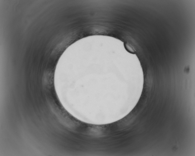 X0000115560079200912181627