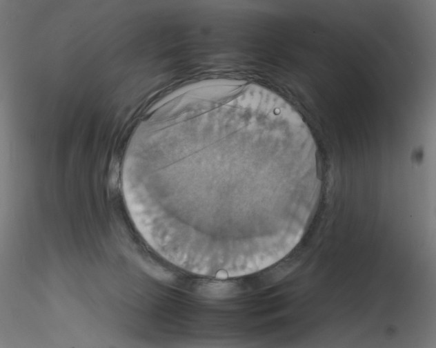 X0000115560081200912181628