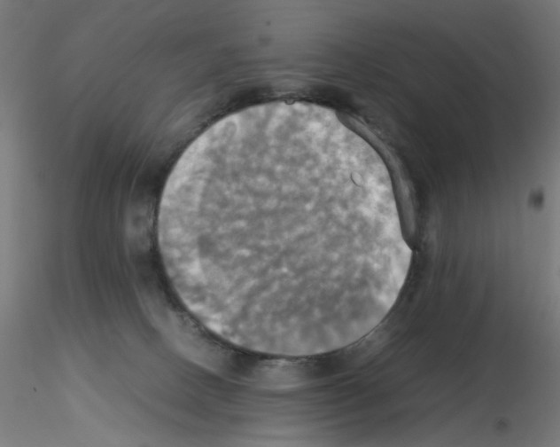 X0000115560082200912181628