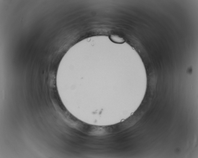 X0000115560083200912181628