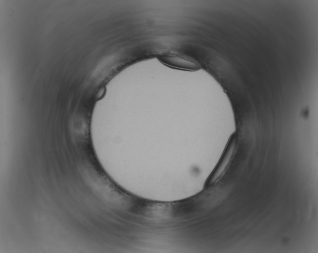 X0000115560084200912181628