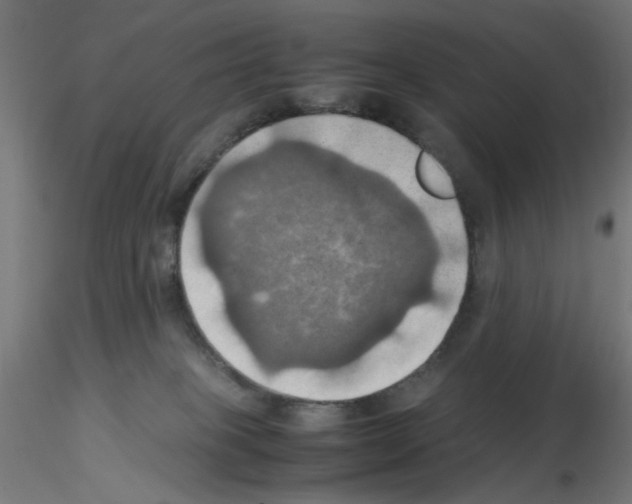 X0000115560085200912181628