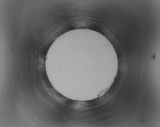 X0000115560087200912181628