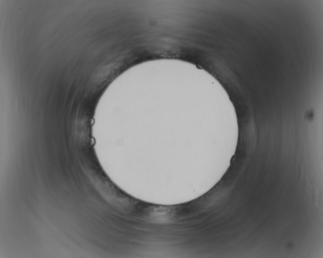 X0000115560088200912181628