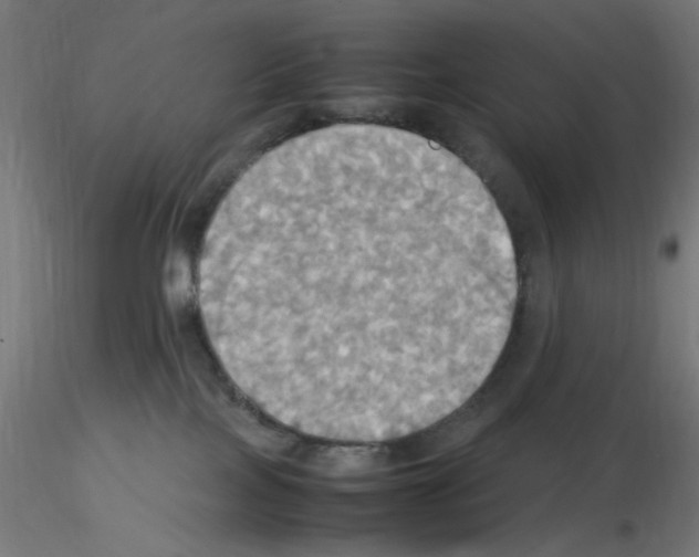 X0000115560089200912181628