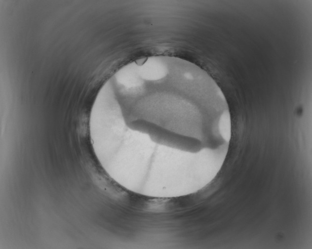 X0000115560090200912181628