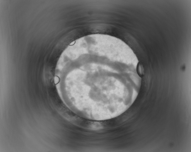 X0000115560091200912181628