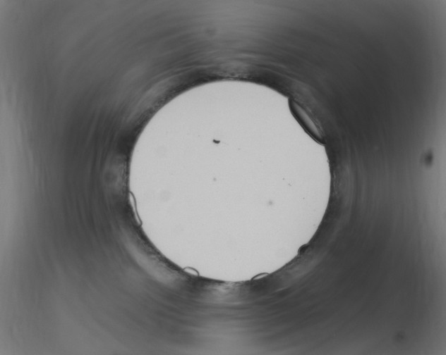 X0000115560092200912181628