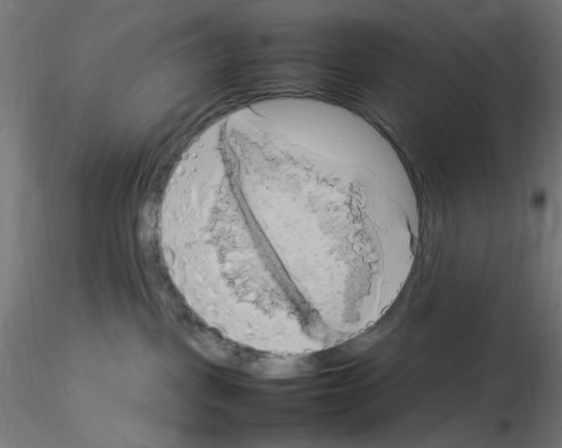 X0000115560093200912181628