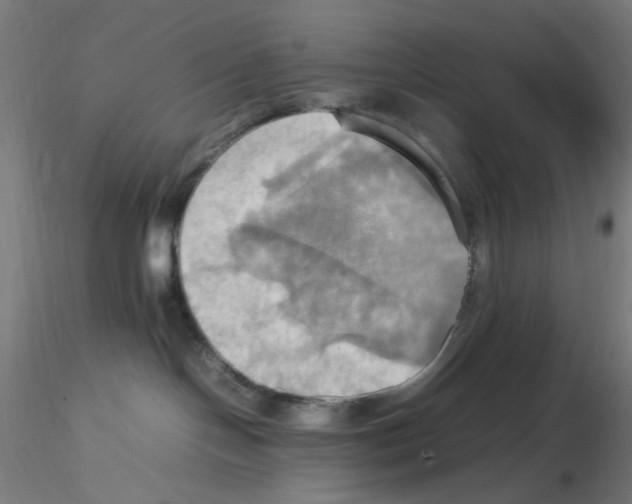 X0000115560094200912181628