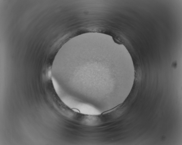 X0000115560095200912181628