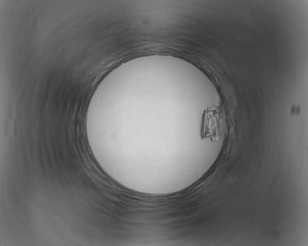 X0000115560096200912181628