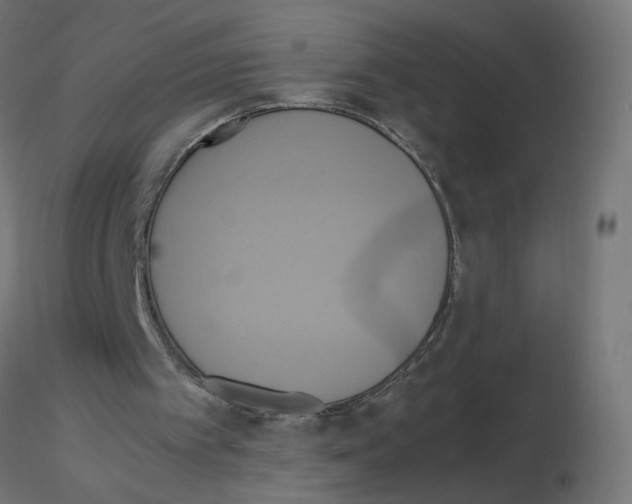 X0000115560097200912181627