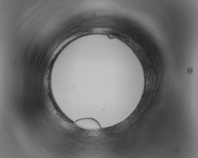 X0000115560098200912181627