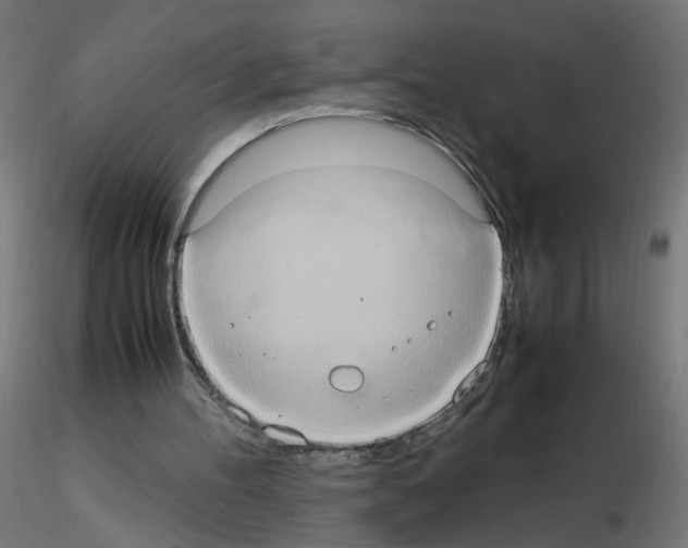 X0000115560100200912181627