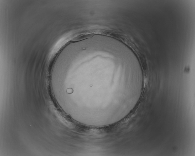 X0000115560101200912181627