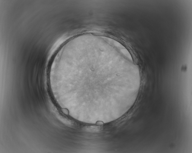 X0000115560102200912181627