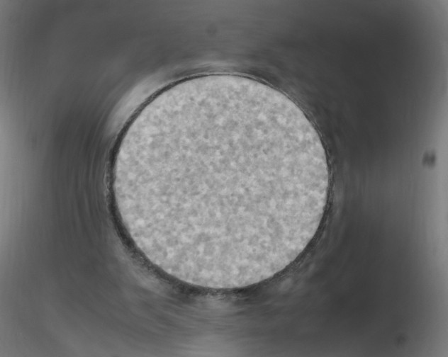 X0000115560103200912181627