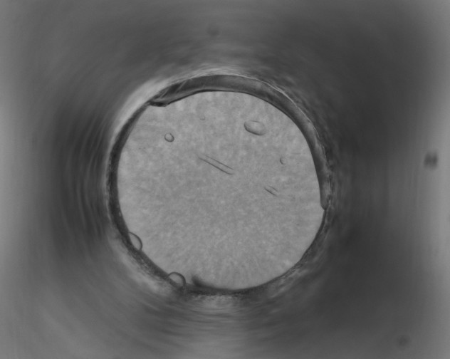 X0000115560104200912181627